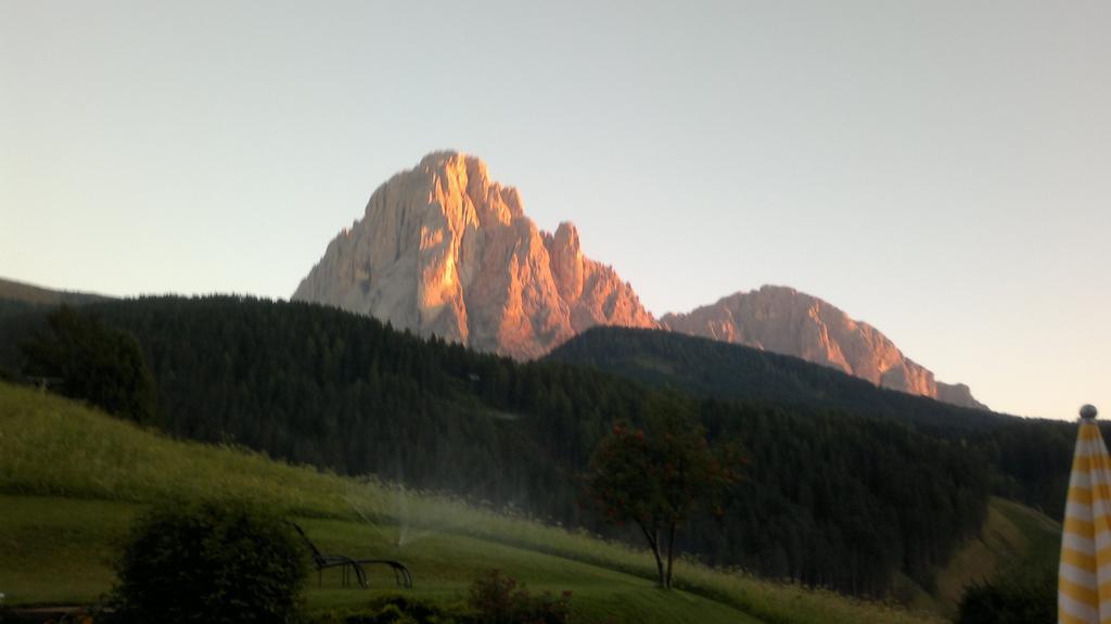 Apartments Antines Selva di Val Gardena Ngoại thất bức ảnh